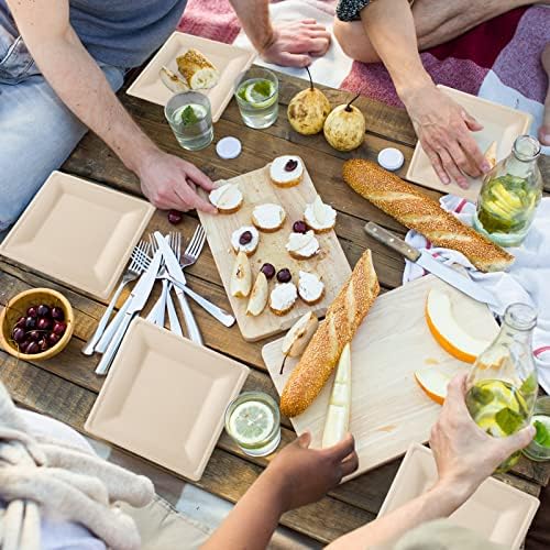 ECOLipak 100 Piecs Compostable Square Paper Plates, 10 inch, Nature