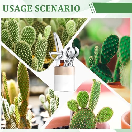 Lothee 4 Pcs Cactus Peeler Tool Set, Stainless Steel Long Handle Kitchen