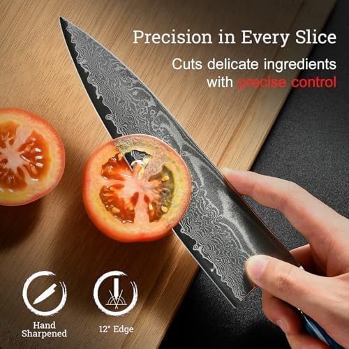 Japanese Chef Knife, 8 Inch Damascus Kitchen Knife with VG10 Steel, Ultra Sharp Professional Cooking Knives with Resin Wood Handle, Gift Box for Home & Restaurant