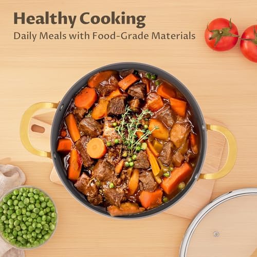 BEZIA 8QT Ceramic Non Stick Stock Pot with Lid, Induction Cooking Pot