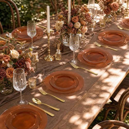 I00000 102 Pcs Amber Plastic Plates, Clear Brown Plastic Plates Disposable