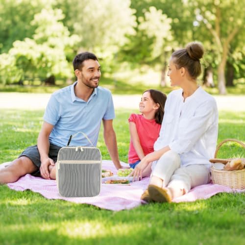 Lunch Box for Women Men Adult Insulated Lunch Bag Women Men Small Reusable Lunchbox for Work Picnic Travel (Black Stripes)
