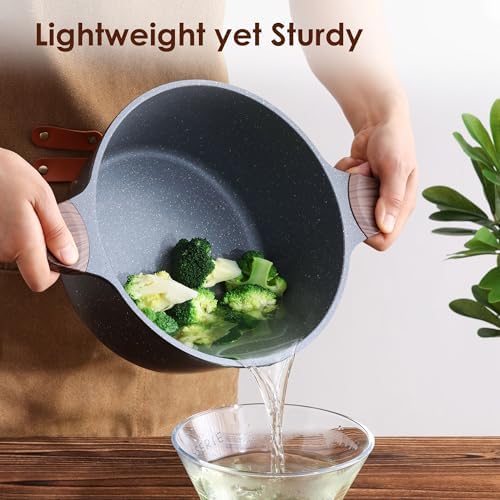 SENSARTE Nonstick Stock Pot with Lid, 4.5 Quart, Gray