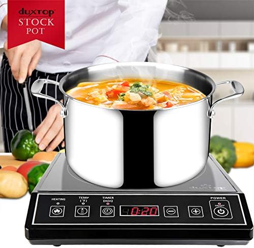 Duxtop Tri-Ply Stainless Steel Stock Pot with Lid 6.5 Quart