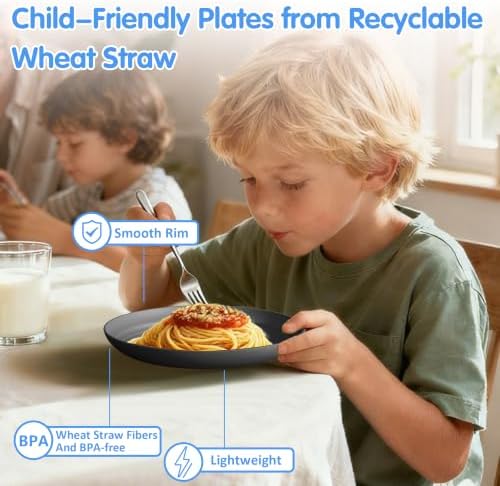 Quatish 10 PCS Reusable Plastic Plates, Dinner Plate, Plate Set, Black