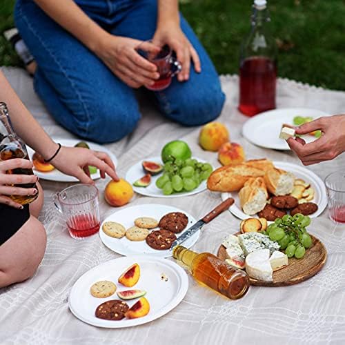 Vplus 150 Pack Compostable Bagasse Paper Plates 10.25 inch, White