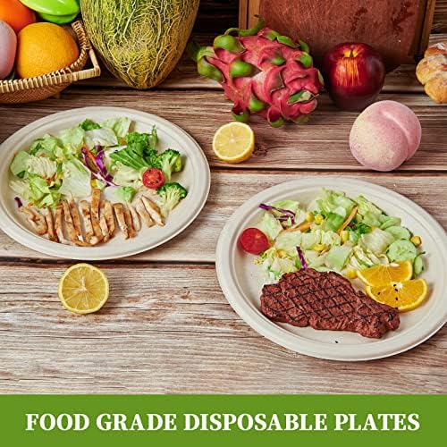 ECOLipak 125 Pack 10 inch Compostable Disposable Paper Plates for Party