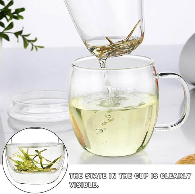 Glass Tea Cup with Infuser and Lid,500ml (17oz) Borosilicate Glass Tea Mugs for Loose Leaf Tea,Glass Tea Cups with Filter for Black Tea,Great Loose Tea-leaf Brewing System