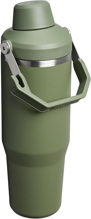 Stanley IceFlow 2.0 Fast Flow Tumbler with Handle 30 oz | Twist On Angled Spout Lid | Leakproof Water Bottle | Insulated Stainless Steel | BPA-Free | Dried Pine