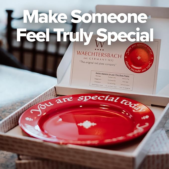 You Are Special Today Red Ceramic Plate, Set of 3-10.75-Inch Porcelain Dinner Plates, Microwave & Dishwasher Safe, Gift Boxed with Pen, Stylish Tableware for Entertaining