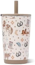 HydroJug Everyday Tumbler 14 oz, Ceramic-Lined Straw Cup, Mesa