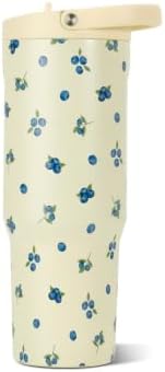 HydroJug Sport 32 oz Insulated Stainless Steel Water Bottle, Freshly Pick'd