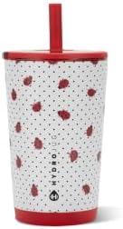 HydroJug Everyday Tumbler 14 oz, Ceramic-Lined Straw Cup, Ladybug