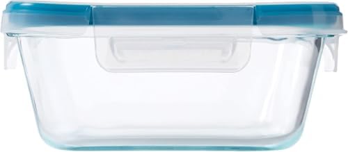 Snapware Glass Total Solutions (12-Pack) Food Storage Containers Set