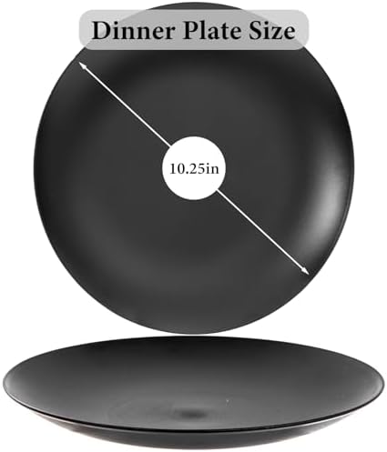 ejonirinjonir 80pcs 10.25in Heavy-Duty Black Plastic Plates for Dinner