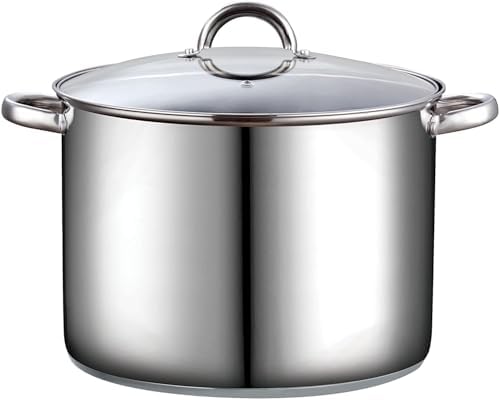 Cook N Home Basics 16 Quart Stainless Steel Stock Pot with Lid, Cooking Pot for Pasta, Soup, Sturdy Handle, Large Stockpot with Even Heating, Oven & Dishwasher Safe, Cookware for Canning, Boiling