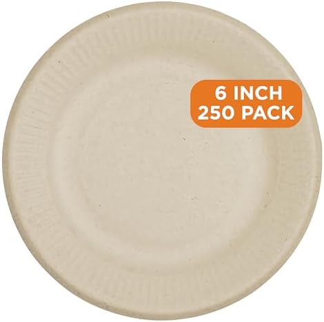 World Centric Compostable Round Paper Plates, 6 Inch (Pack of 250)