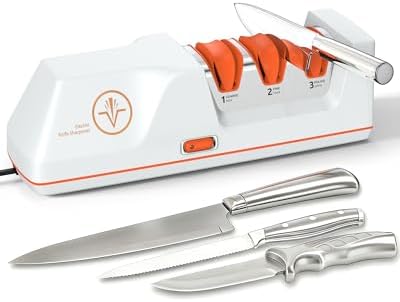 Electric Knife Sharpener with Replaceable Sharpening Head