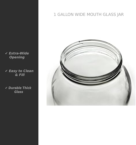 North Mountain Supply 1 Gallon Glass Jar, Black Plastic Lid