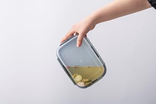 LocknLock Classic-Plus Plastic Food Storage Container | Airtight Plastic Food Storage Containers with Lids | BPA Free Stackable Food Storage for Meal Prep, Leakproof, Freezer & Dishwasher Safe, 2.75L