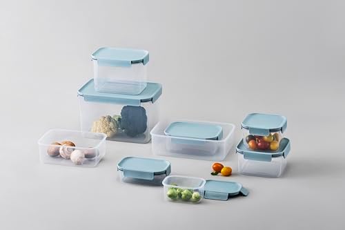 LocknLock Classic-Plus Plastic Food Storage Container | Airtight Plastic Food Storage Containers with Lids | BPA Free Stackable Food Storage for Meal Prep, Leakproof, Freezer & Dishwasher Safe, 2.75L