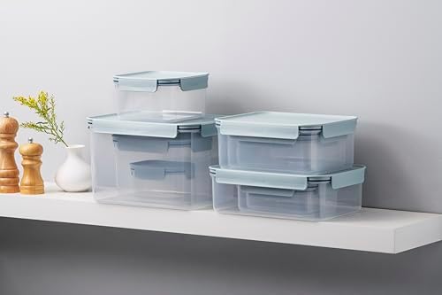 LocknLock Classic-Plus Plastic Food Storage Container | Airtight Plastic Food Storage Containers with Lids | BPA Free Stackable Food Storage for Meal Prep, Leakproof, Freezer & Dishwasher Safe, 2.75L