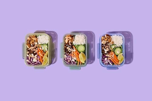 Ello Snap & Nest 4.5 Cup Plastic Meal Prep Set, 10 Piece, Cactus Blooms