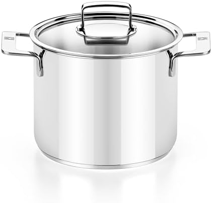 BRA COOKWARE Signature Stainless Steel Stock Pot w/Lid | 9.5 Inches 9 Qt