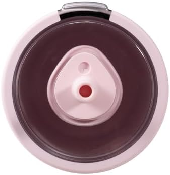 HydroJug Everyday Tumbler 20 oz, Ceramic-Lined Straw Cup, Wildrose