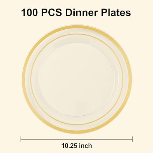 BESTSTAR 100PCS Clear Plastic Plates for Party