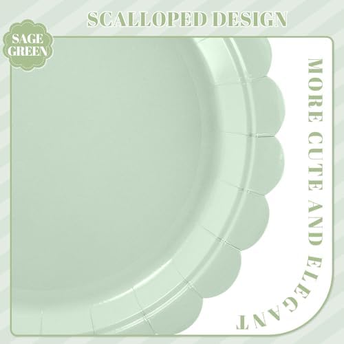 NatNarr 30 Pk Appetizer Cake Cockatil Plates 7" Scalloped Sage Green Plates