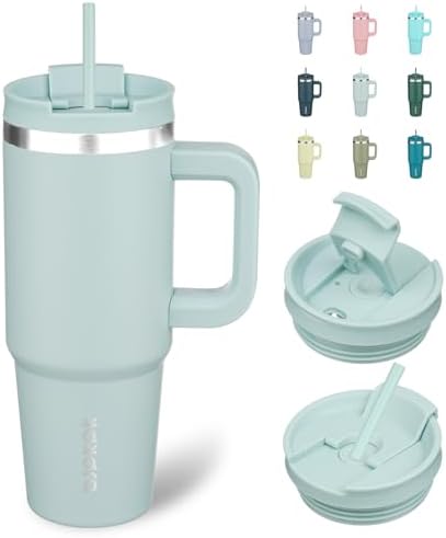 BJPKPK 30 oz Insulated Tumbler with Handle & Straw, Stainless Steel