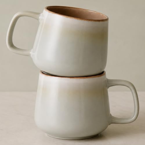 Ava Nord Large Stoneware Ceramic Coffee Mugs Set of 2 | 20 oz | Sage Ash