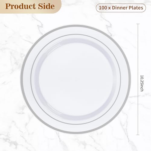 BESTVIP 100Pcs Silver Plastic Plates, 10.25 Inch Disposable Party Plates