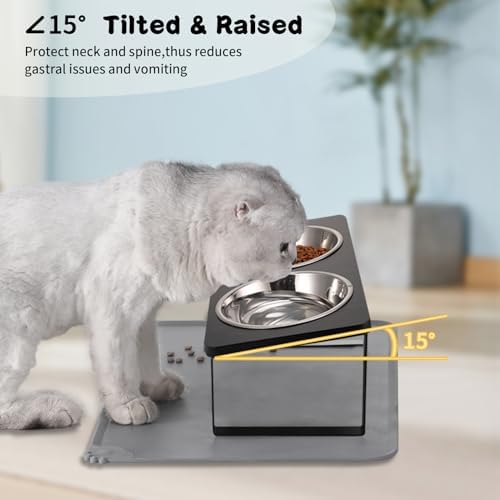 Summark Upgraded Elevated Cat Bowls with Food Mat,15°Tilted Stand Anti Vomiting Raised Cat Dishes for Food and Water,2 Stainless Steel Bowls for Cats and Puppy（Black）