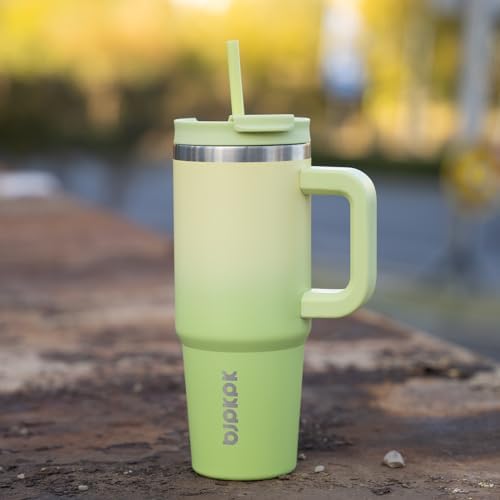 BJPKPK 30 oz Insulated Tumbler with Handle & Straw, Stainless Steel