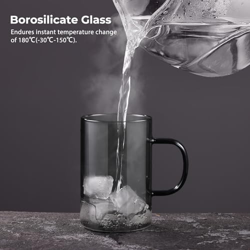 ecooe 16.9oz Glass Tea Cup with Infuser and Lid 430ml(Use Capacity), Black