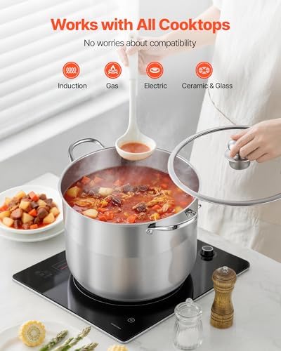 VEVOR Stainless Steel Stock Pot, 16QT Stainless Steel Stockpot with Glass Lid, PFOA-Free, PFAS-Free, Compatible with Gas Stoves, Induction Cooktops, Electric Stoves, for Soups, Stews, and Pasta