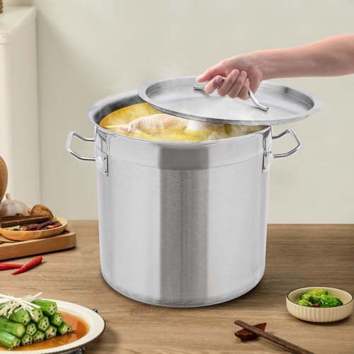 18 Quart Stainless Steel Stockpot Commercial Large Stock Pot with Lid & Handles, Cookware Soup Pot for Boiling Cooking Stew, Induction Cooking Pot for Home Restaurant Hotel (17L/18Qt)