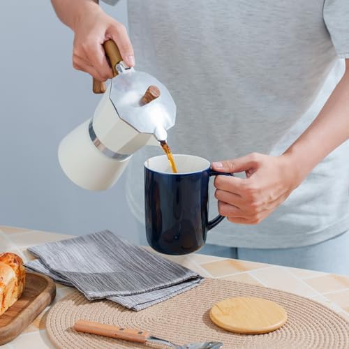 CEEFU 16oz Porcelain Tea Mug with Infuser, Lid and Coaster