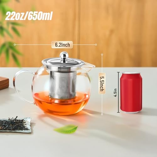Baalaka Glass Teapot with Infuser, Clear Tea Pot for Stove, 22 oz/650 ml