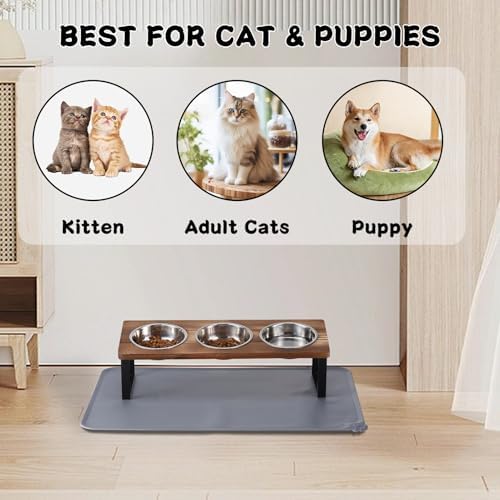Summark Upgraded Elevated Cat Bowls with Food Mat,15°Tilted Stand Anti Vomiting Raised Cat Dishes for Food and Water,3 Stainless Steel Bowls for Cats and Puppy（Rustic Brown）