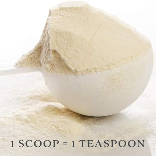 Cornucopia Brands Bulk Pack of Teaspoon Measuring Spoons (24-Pack); 5 ml / 5 cc Scoops Which Fit Inside a Spice Bottle