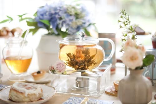 Teabloom Kyoto 2-in-1 Tea Kettle/Tea Maker – Heatproof Glass Teapot with Removable Loose Tea Filter – Tea Connoisseur's Choice