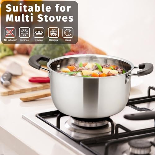 P&P CHEF 6 Qt Stockpot with Lid, Stainless Steel Stock Pot, 1-Ply Metal