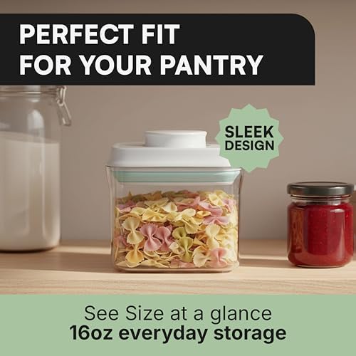 Bop Top Airtight Food Storage Containers | Pop-Top Lid | 2 Cups / 16 Oz