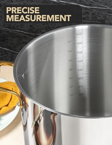 MICHELANGELO Stainless Steel Stock Pot - 20 Quart Soup Pot with Lid & Ergonomic Handle, Extra-Large Pots for Cooking, Suitable for All Stoves