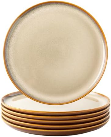 LERATIO Ceramic Dinner Plates Set of 6,10.5 Inch Reactive Glaze Plate Sets