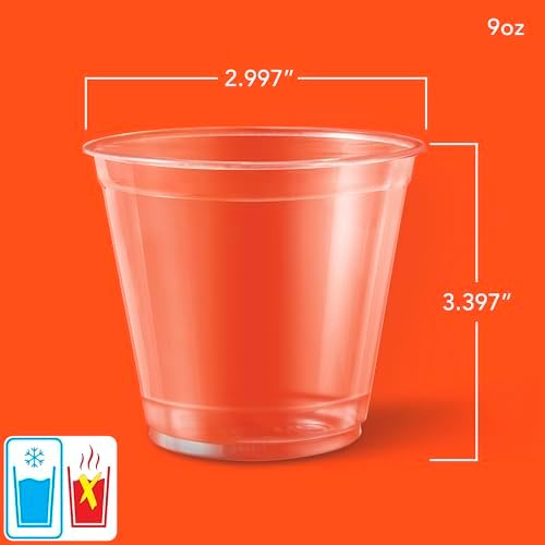 Hefty Deluxe Clear Plastic Party Cups (9 Ounce) 40 Count (Pack of 12)