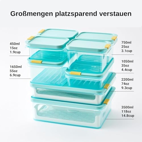 LocknLock Freezer Fit Plastic Freezer Containers | Stackable Food Storage for Meal Prep | Microwave & Dishwasher Safe | BPA Free Freezer Container with Lid, 750ml